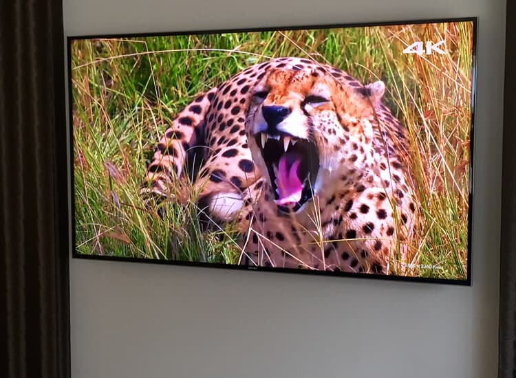 Wall Mounted TV 02